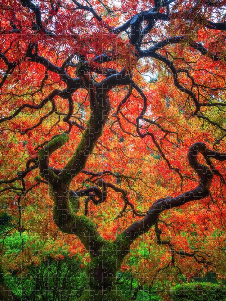 Trees Jigsaw Puzzle featuring the photograph Ethereal Tree Alive by Darren White