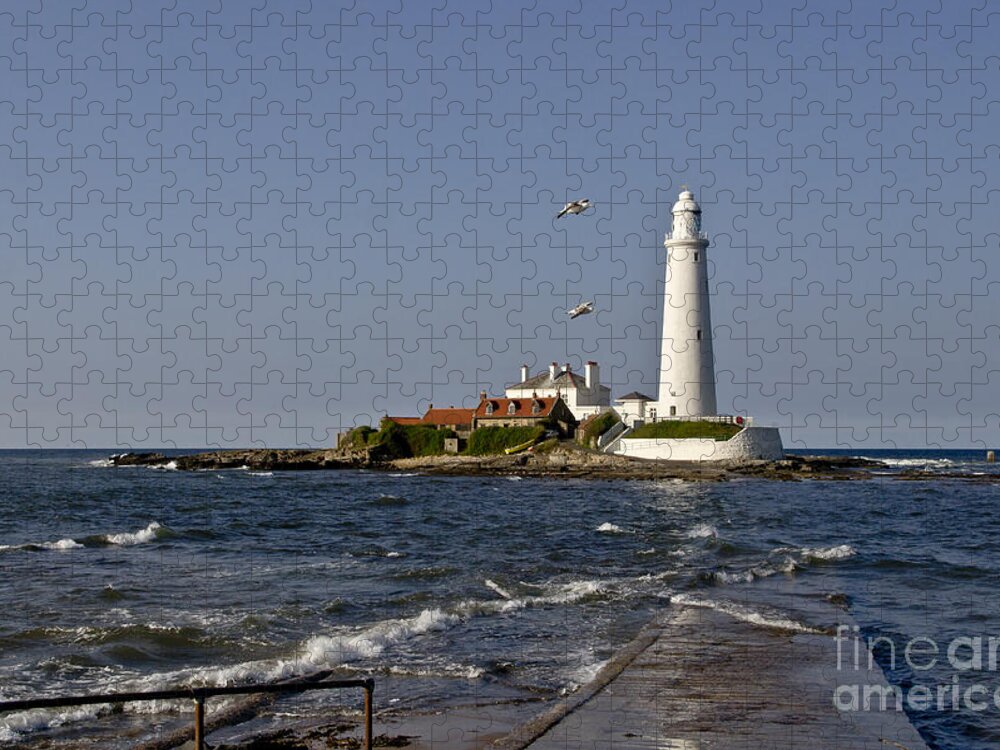Lighthouse Jigsaw Puzzle featuring the photograph Evening at St. Mary's Lighthouse by Elena Perelman