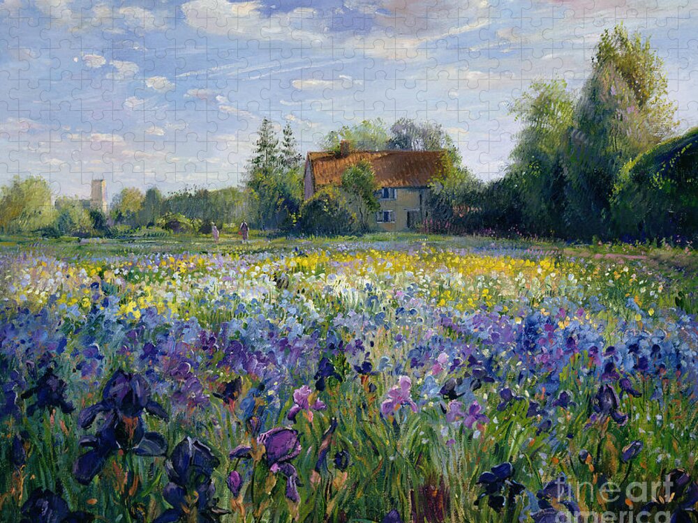 Landscape;market Gardening; Flowers; Horticulture;cottage; Summer; Rural; Irises; Landscapes Jigsaw Puzzle featuring the painting Evening at the Iris Field by Timothy Easton