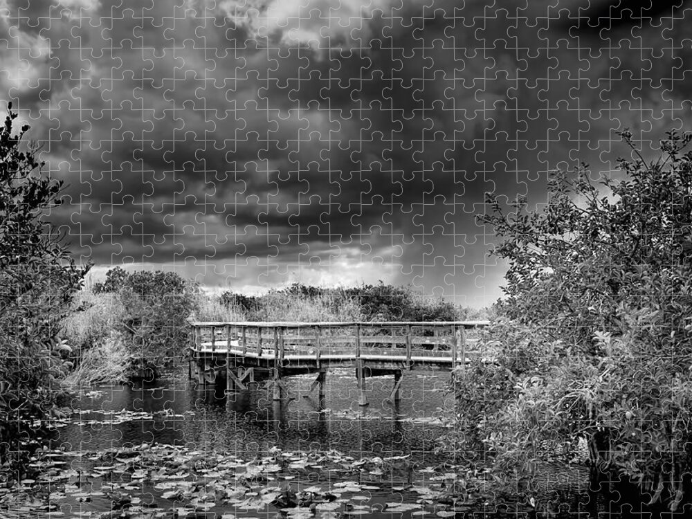 Boardwalk Jigsaw Puzzle featuring the photograph Everglades 0823BW by Rudy Umans
