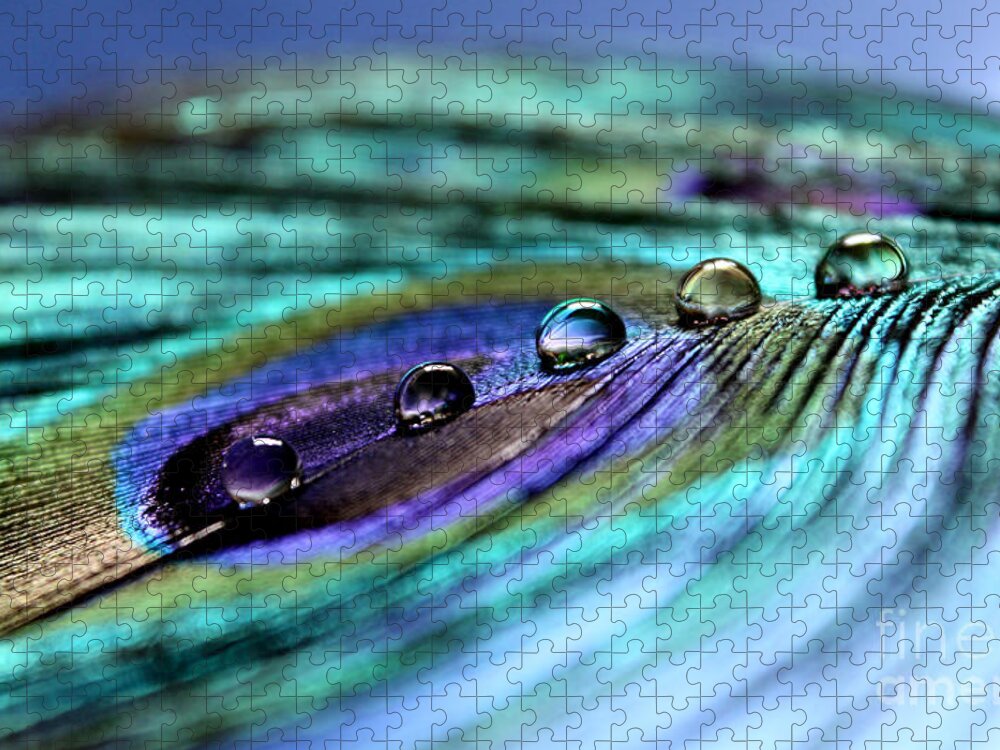 Peacock Feather Jigsaw Puzzle featuring the photograph Exotic Drops Of Life by Krissy Katsimbras