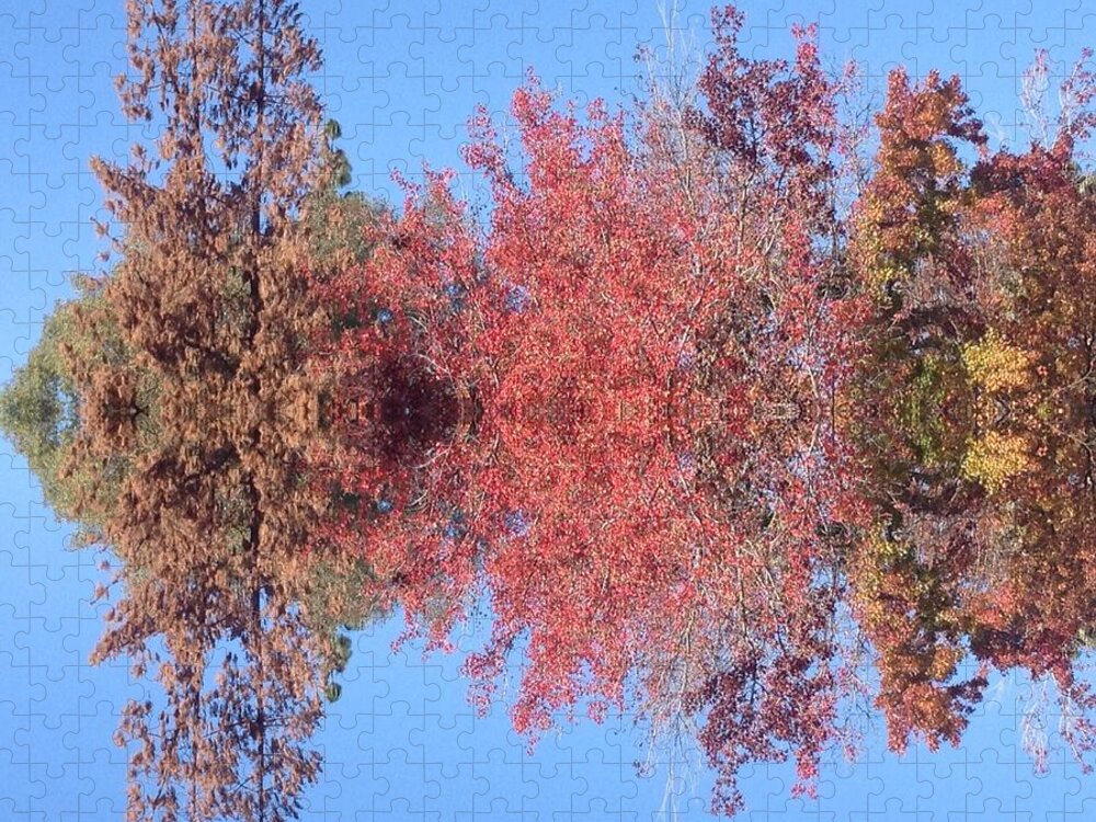 Hues Jigsaw Puzzle featuring the photograph Explosion of Autumn Leaves by Nora Boghossian