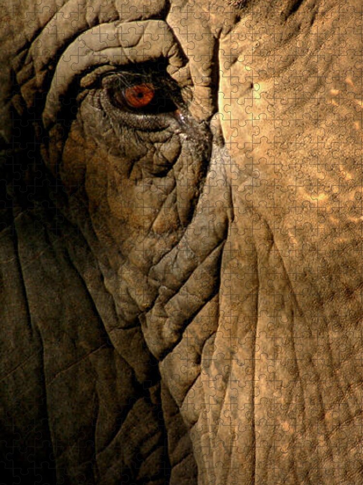 Elephant Jigsaw Puzzle featuring the photograph Eye of the Elephant by Greg and Chrystal Mimbs