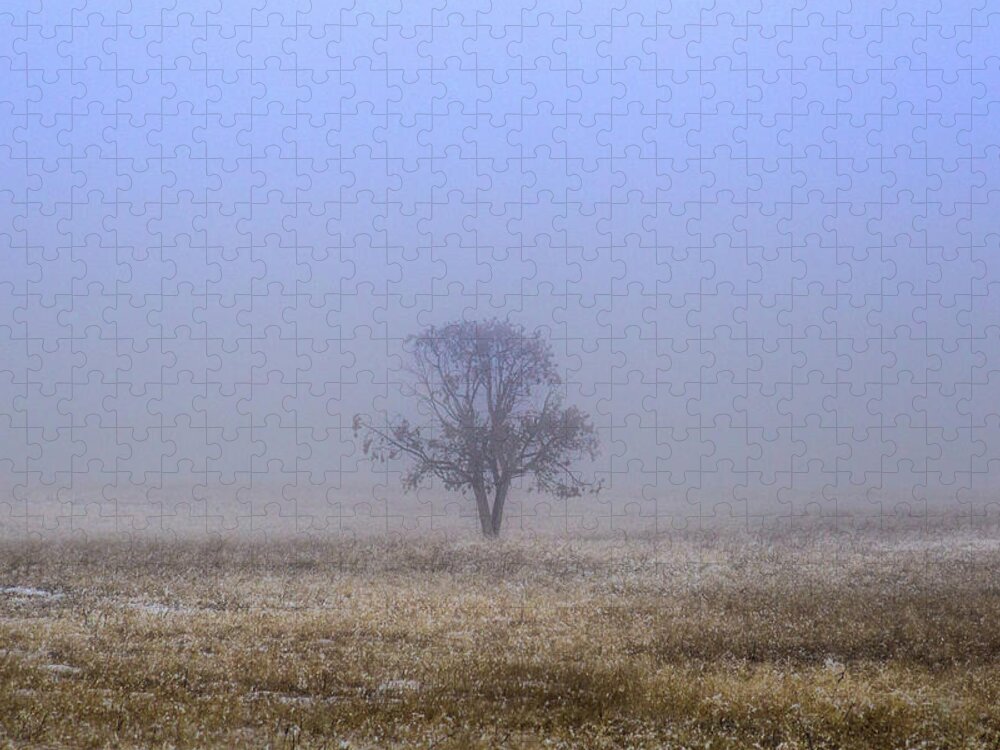 Fog Jigsaw Puzzle featuring the photograph Fading Away by Jen Manganello