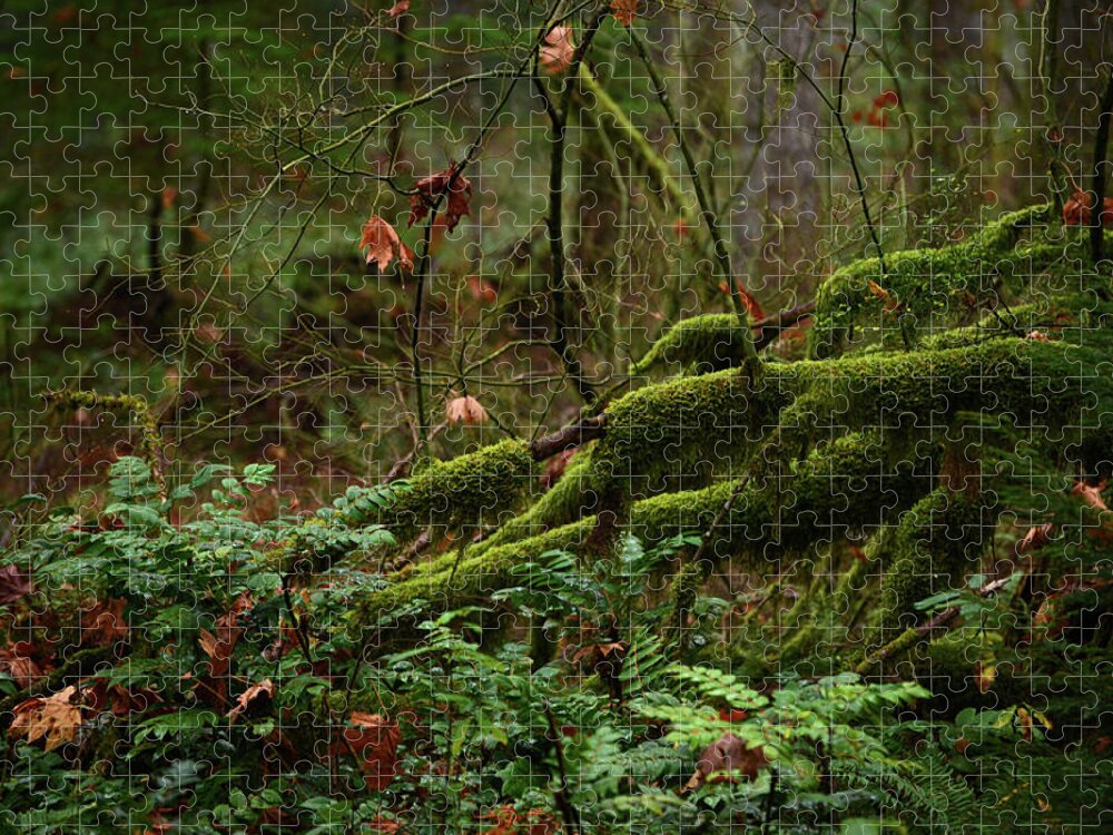 Fairies Jigsaw Puzzle featuring the photograph Fairy Forest by Whispering Peaks Photography
