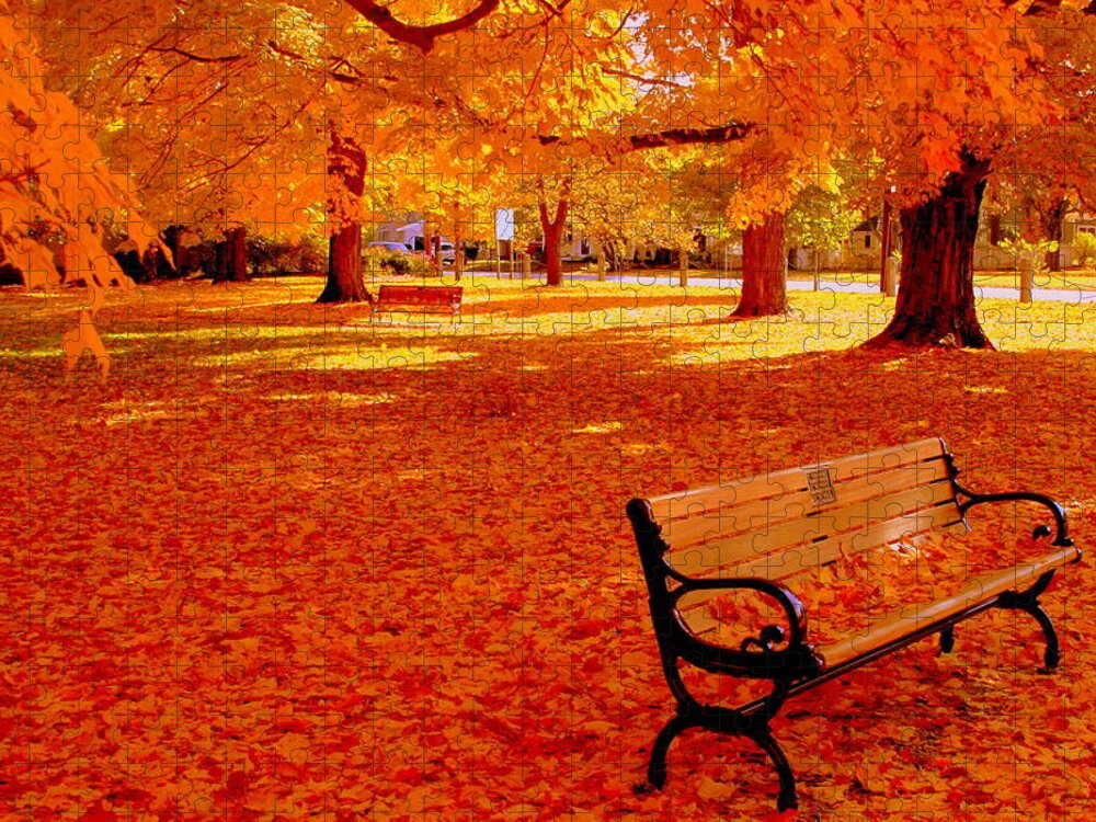 Fall Jigsaw Puzzle featuring the photograph Fall Bench Newburyport MA by Suzanne DeGeorge