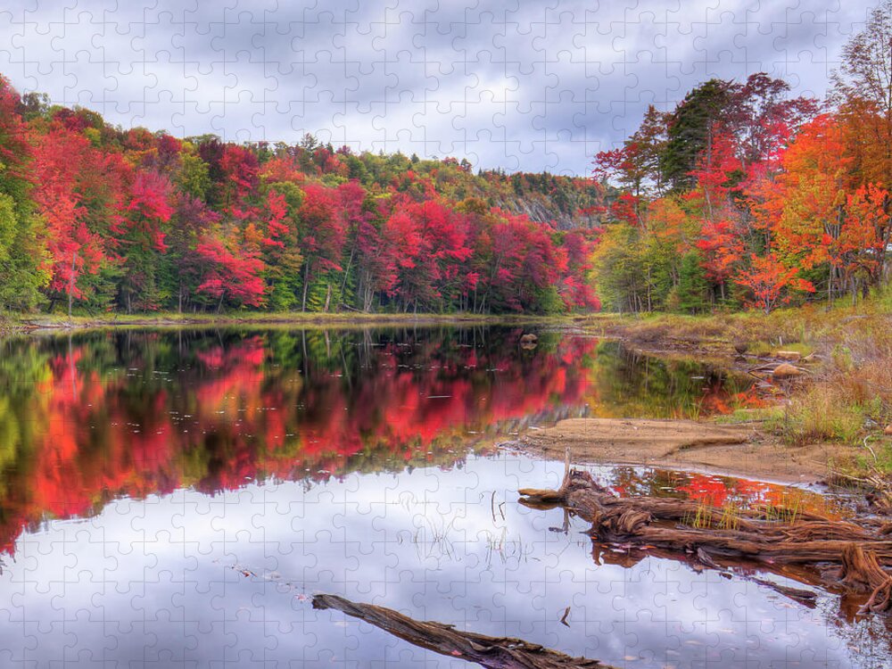 Fall Color At The Pond Jigsaw Puzzle featuring the photograph Fall Color at the Pond by David Patterson