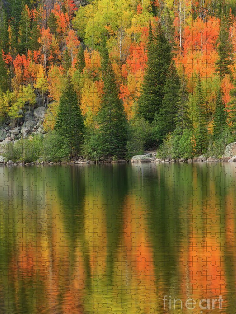 Rocky Mountain National Park Jigsaw Puzzle featuring the photograph Fall Color on Bear Lake in Rocky Mountain National Park by Ronda Kimbrow