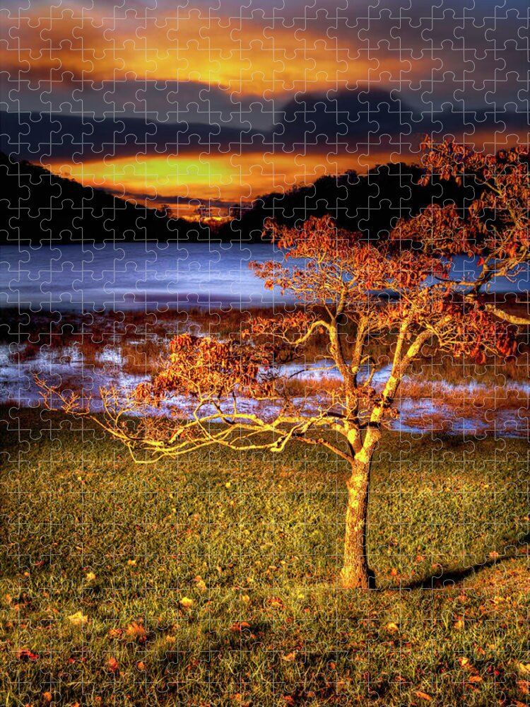 Blue Ridge Parkway Jigsaw Puzzle featuring the photograph Fall Colors at Sunrise in Otter Blue Ridge by Dan Carmichael