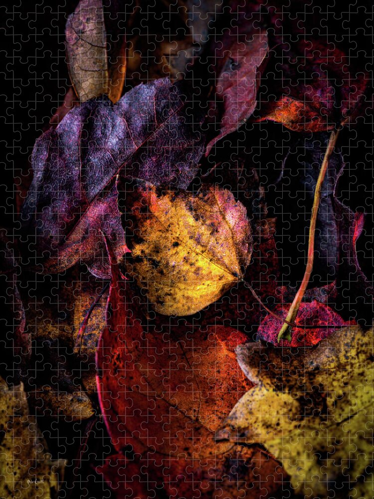Fall Colors Jigsaw Puzzle featuring the photograph Fall Colors by Bob Orsillo