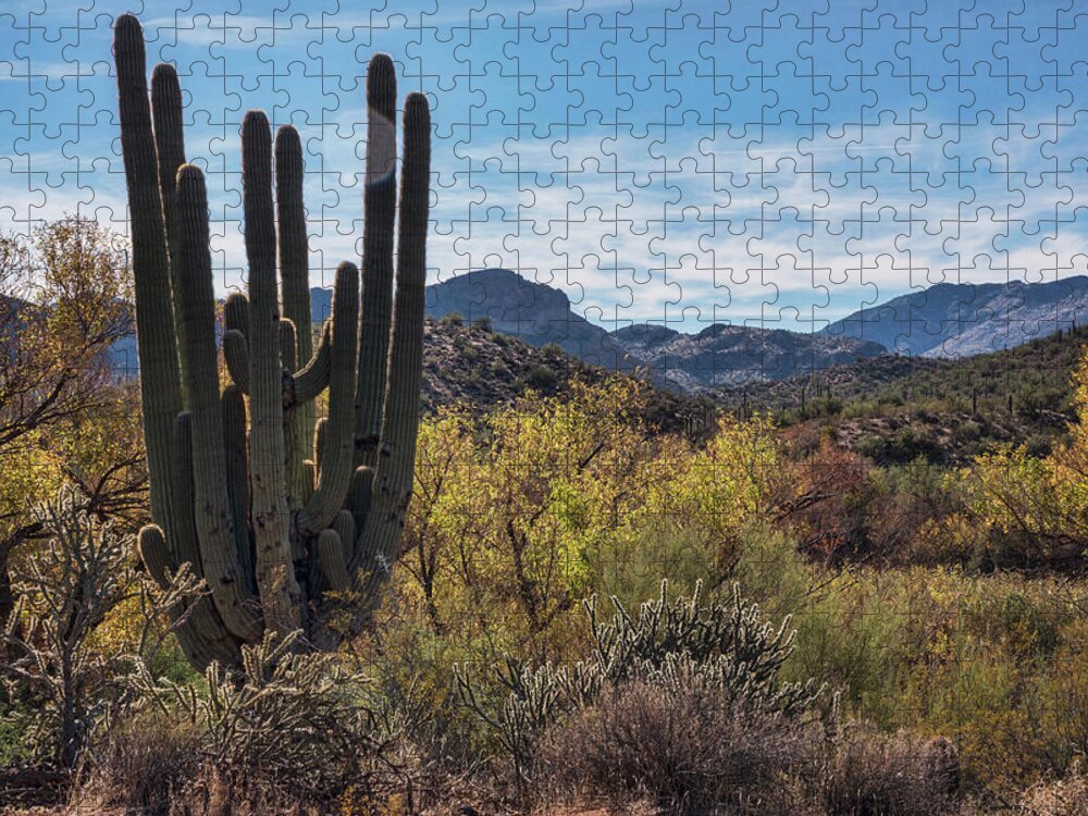 Arizona Jigsaw Puzzle featuring the photograph Fall Colors in the Sonoran by Saija Lehtonen