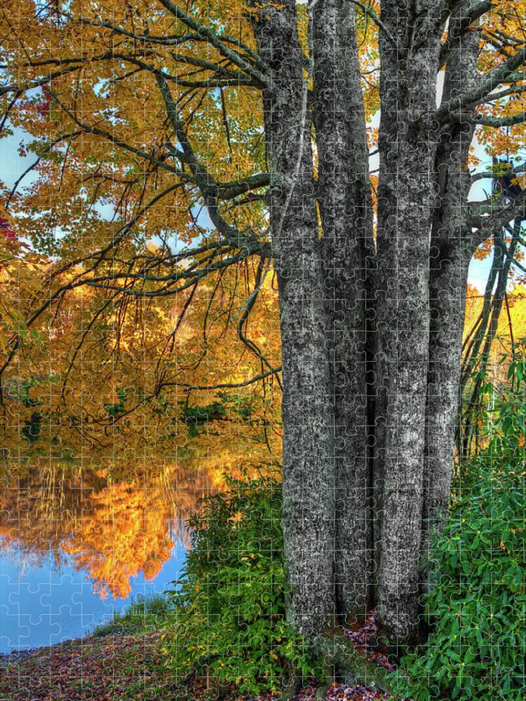 Fall Colors Jigsaw Puzzle featuring the photograph Fall Colors Reflecting in a Blue Ridge Lake by Dan Carmichael