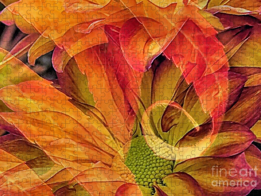 Fall Floral Jigsaw Puzzle featuring the photograph Fall Floral Composite by Janice Drew