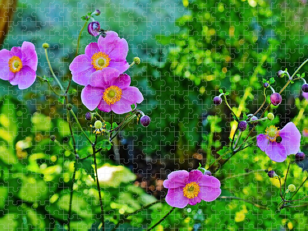 Anemone Jigsaw Puzzle featuring the photograph Fall Gardens September Charm Anemone by Janis Senungetuk