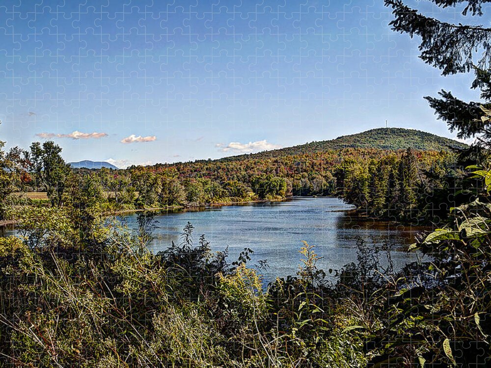 Trees Jigsaw Puzzle featuring the photograph Fall in the White Mountains by Deborah Klubertanz
