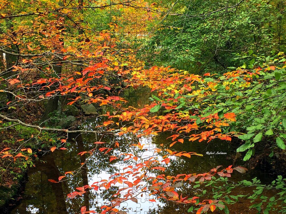 Fall Leaves Jigsaw Puzzle featuring the photograph Fall is in the Air by Rafael Salazar