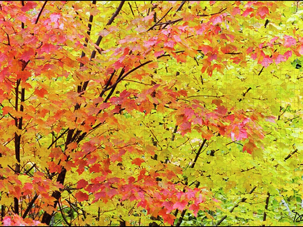Autumn Jigsaw Puzzle featuring the photograph Fall Leaves by Peggy Dietz