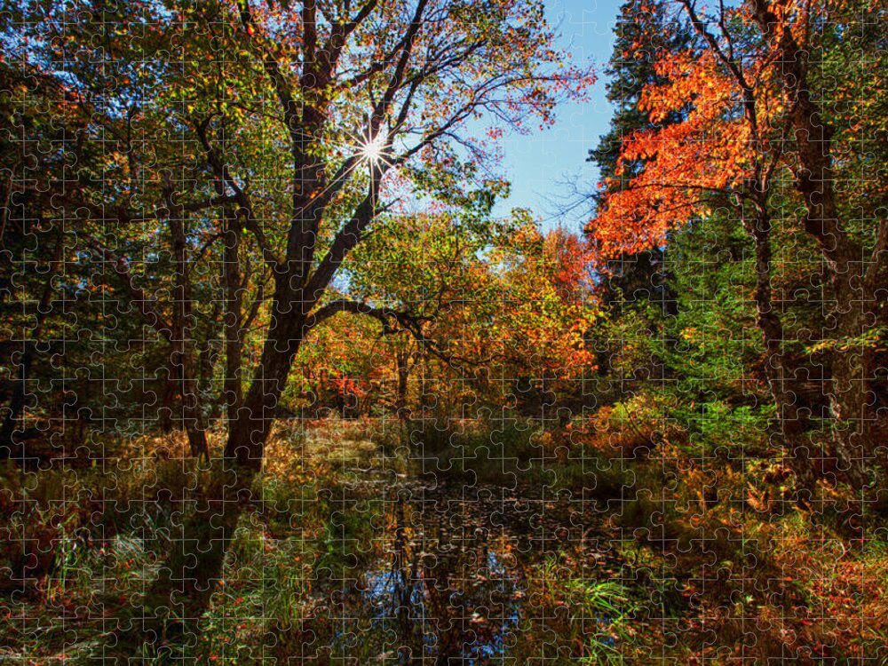 Kelly River Wilderness Jigsaw Puzzle featuring the photograph Fall Meadow And Sunburst by Irwin Barrett