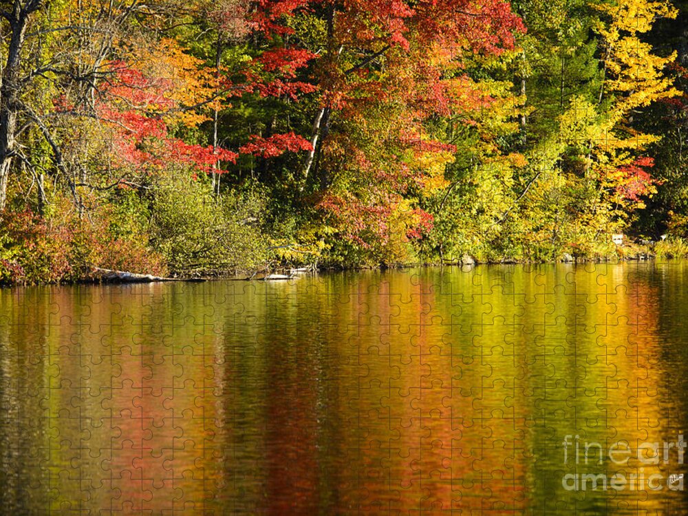 Fall Jigsaw Puzzle featuring the photograph Fall Reflections by Alana Ranney