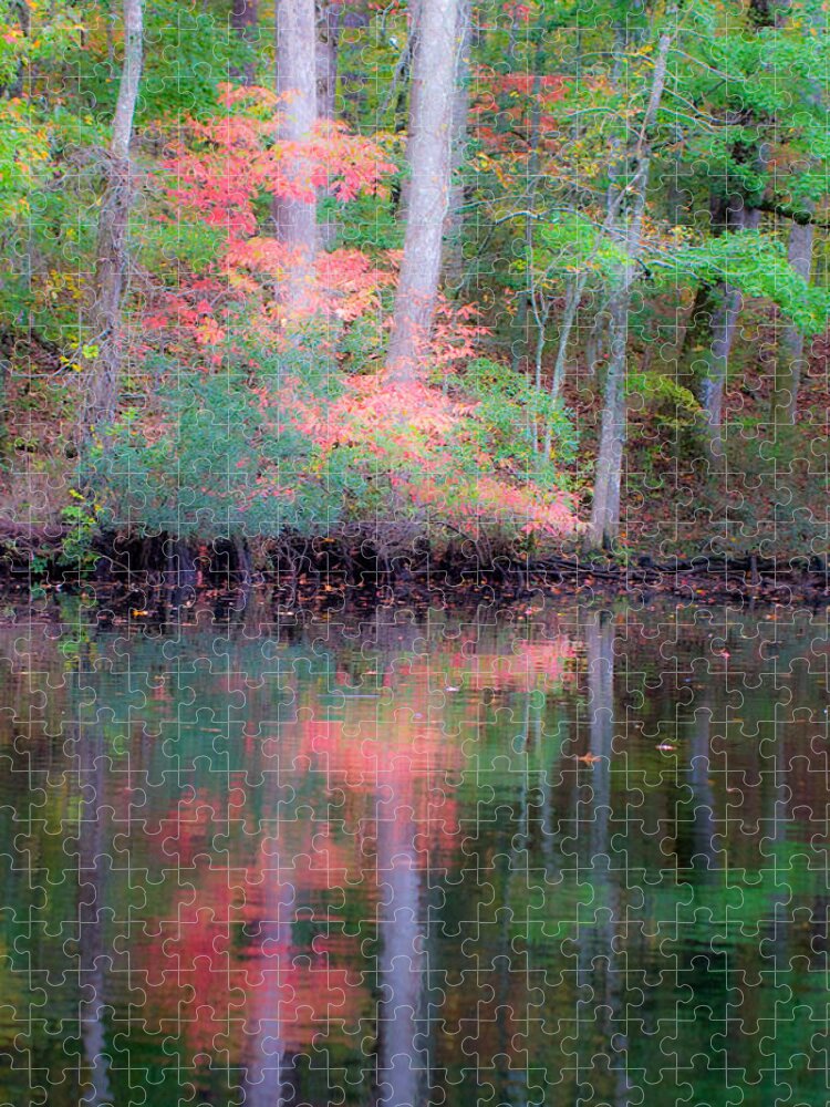 Fall Jigsaw Puzzle featuring the photograph Fall Reflections by Bob Decker