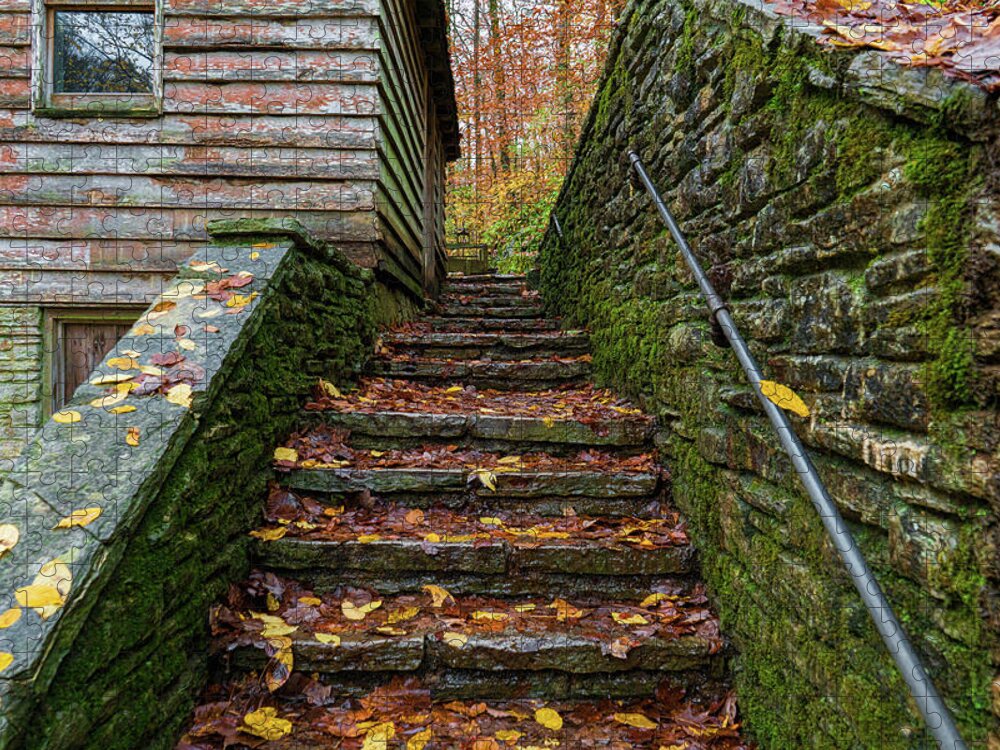Sharon Popek Jigsaw Puzzle featuring the photograph Fall Up Stairs by Sharon Popek