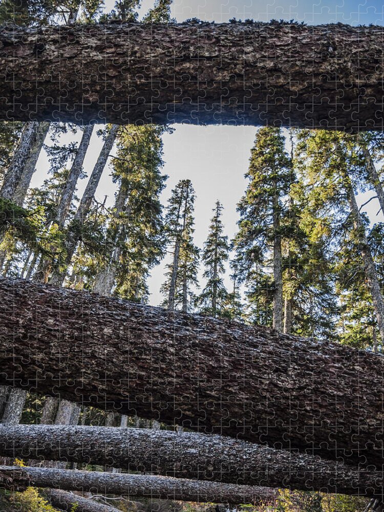 Pacific Jigsaw Puzzle featuring the photograph Fallen Trees by Pelo Blanco Photo