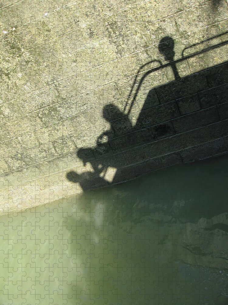 Shadow Jigsaw Puzzle featuring the photograph Falling into the Water by Menega Sabidussi