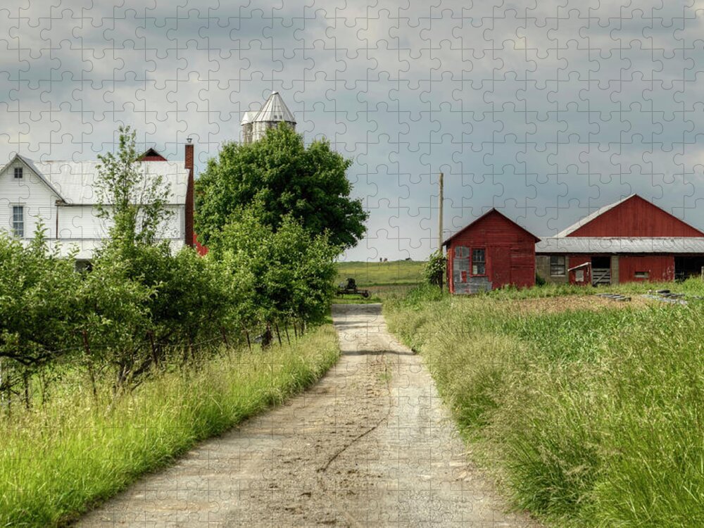 Farm Jigsaw Puzzle featuring the photograph Farm by Ann Bridges