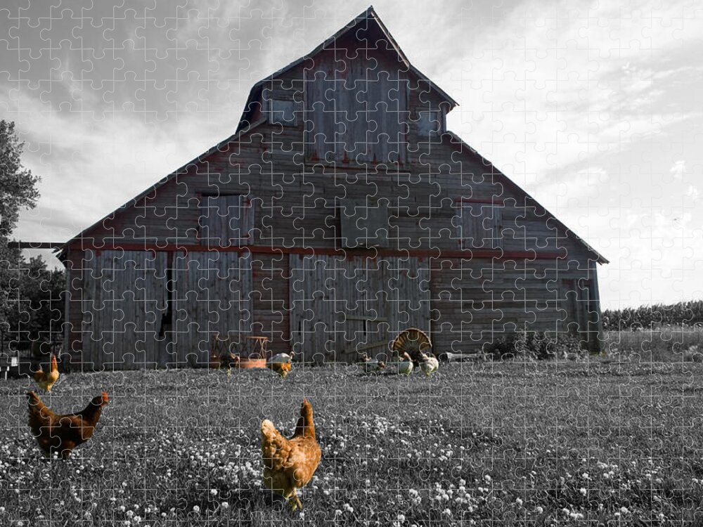 Unique Jigsaw Puzzle featuring the photograph Farmer John's by Dylan Punke