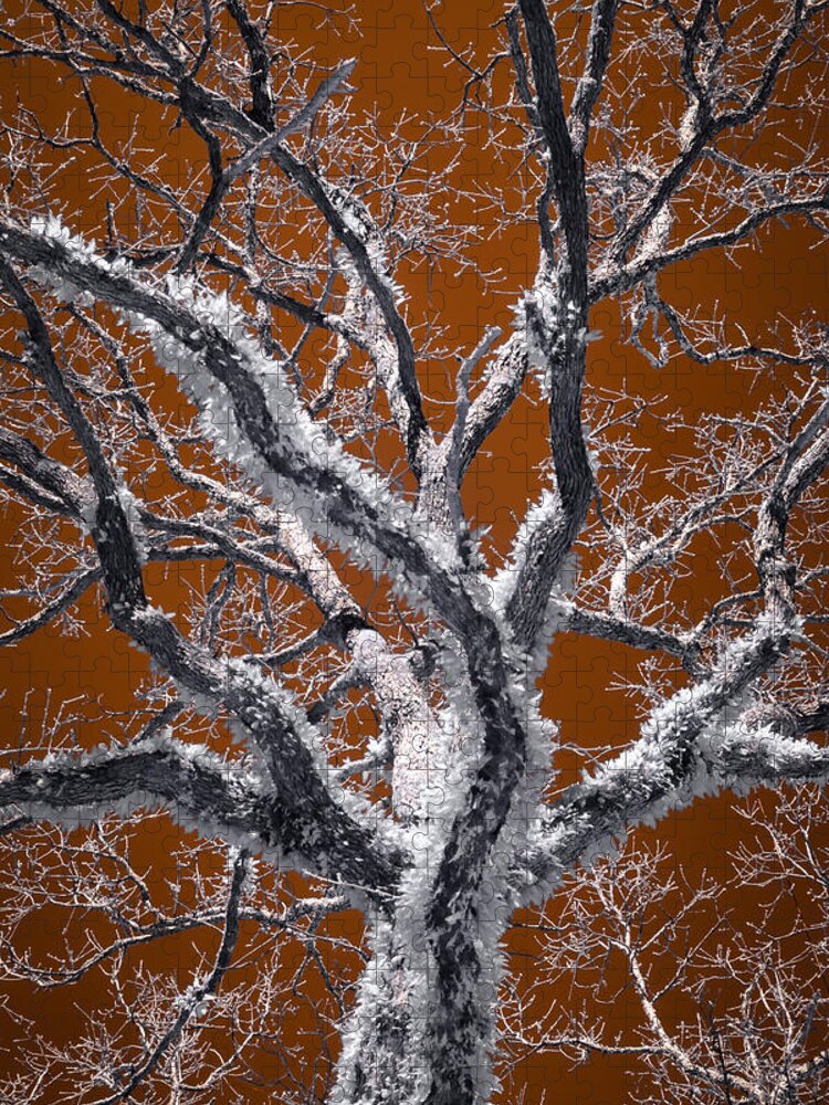 Surreal Jigsaw Puzzle featuring the photograph Feathered Tree by James Barber