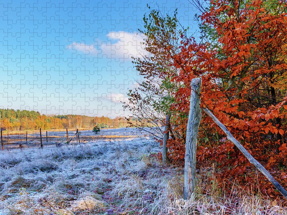 Yellow Jigsaw Puzzle featuring the photograph Fenced autumn by Dmytro Korol