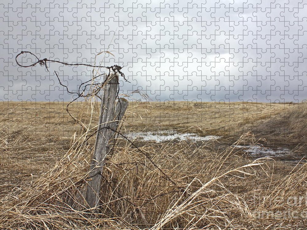 Rural Jigsaw Puzzle featuring the photograph Fencepost by Linda Bianic