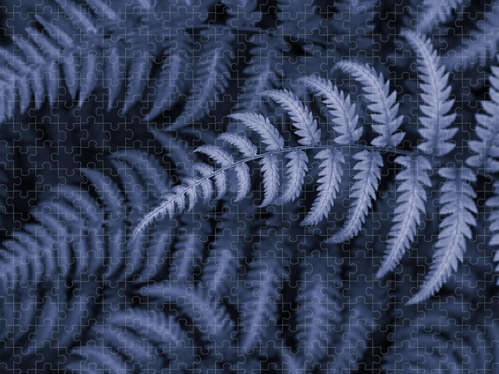 Fern In Blue Jigsaw Puzzle featuring the photograph Fern in Blue by Rachel Cohen