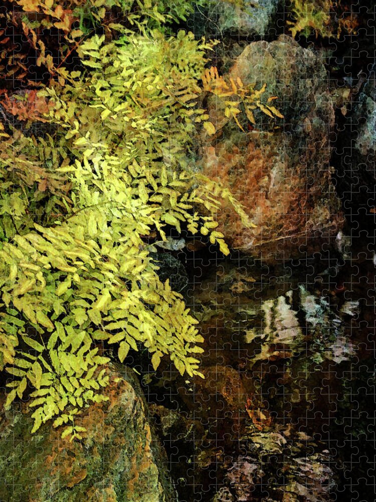 Ferns Jigsaw Puzzle featuring the photograph Ferns Along the Brook 6318 DP_2 by Steven Ward