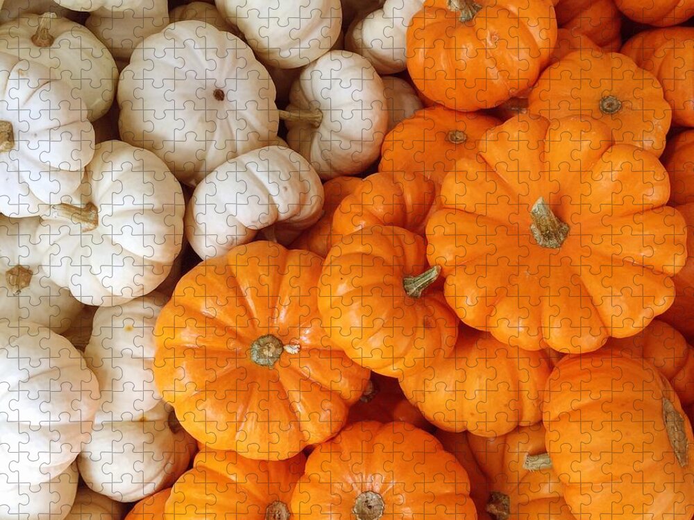 Pumpkins Jigsaw Puzzle featuring the photograph Festive Pumpkins by Onedayoneimage Photography