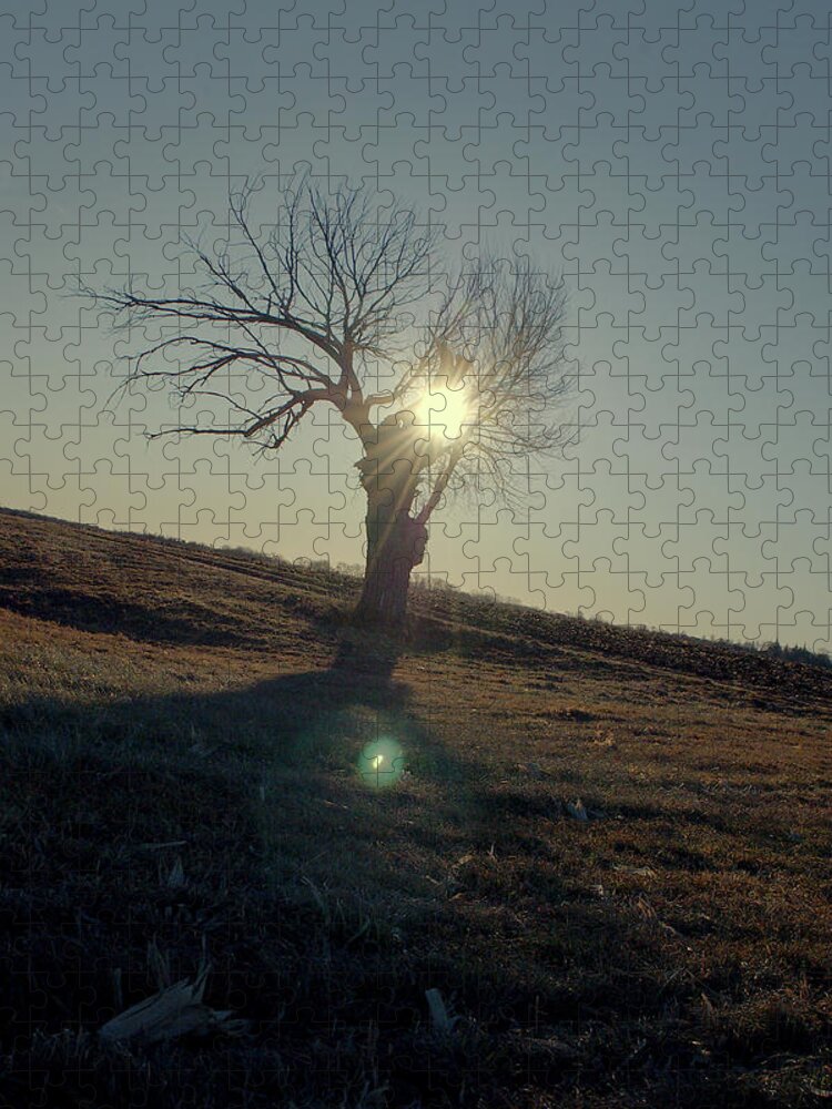 Tree Jigsaw Puzzle featuring the photograph Field and Tree by Troy Stapek