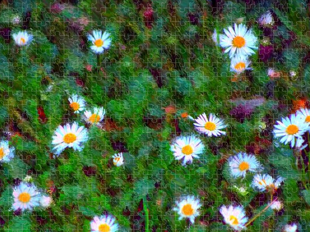 Digital Photograph Jigsaw Puzzle featuring the photograph Field of Daisys by David Lane
