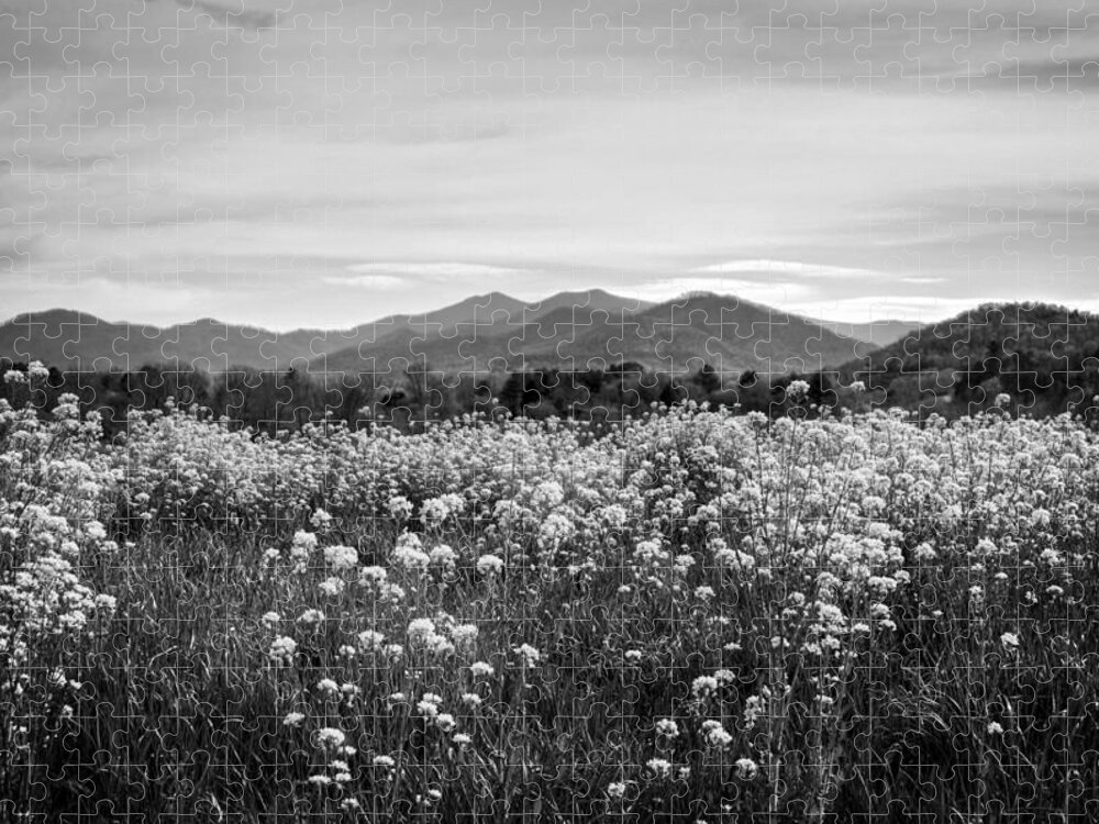 Field Jigsaw Puzzle featuring the photograph Field Of Flowers In Black and White by Greg and Chrystal Mimbs
