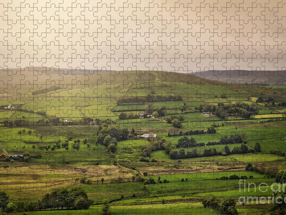 Kremsdorf Jigsaw Puzzle featuring the photograph Fifty Shades Of Green by Evelina Kremsdorf