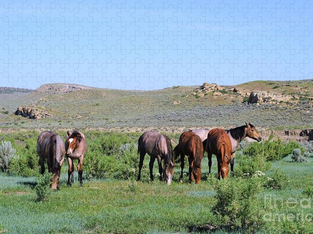 Fillies Jigsaw Puzzle featuring the photograph Fillies Day Out by Merle Grenz