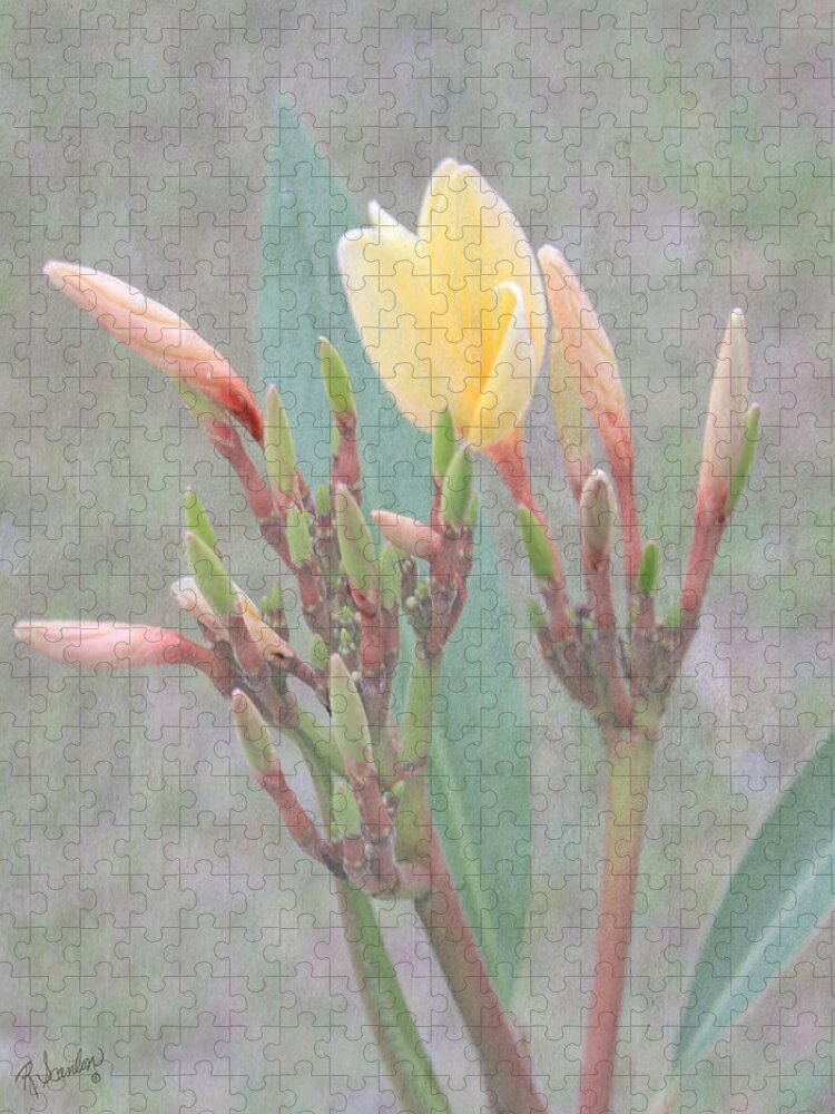Flower Jigsaw Puzzle featuring the photograph First Bud by Rosalie Scanlon