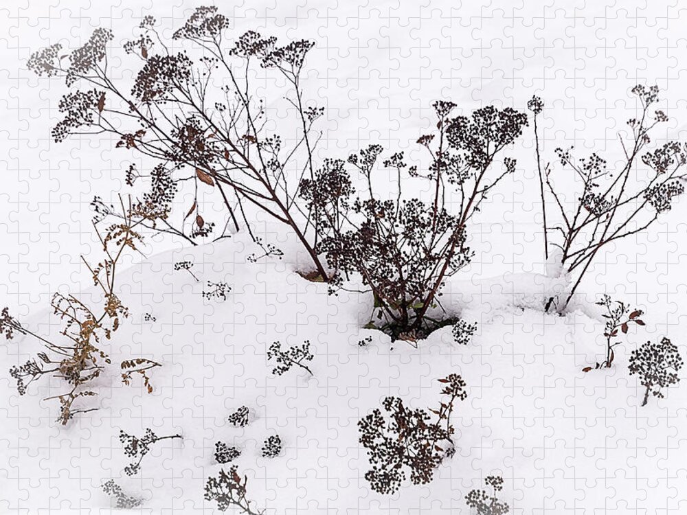 Nature Jigsaw Puzzle featuring the photograph First Snow by Robert Mitchell