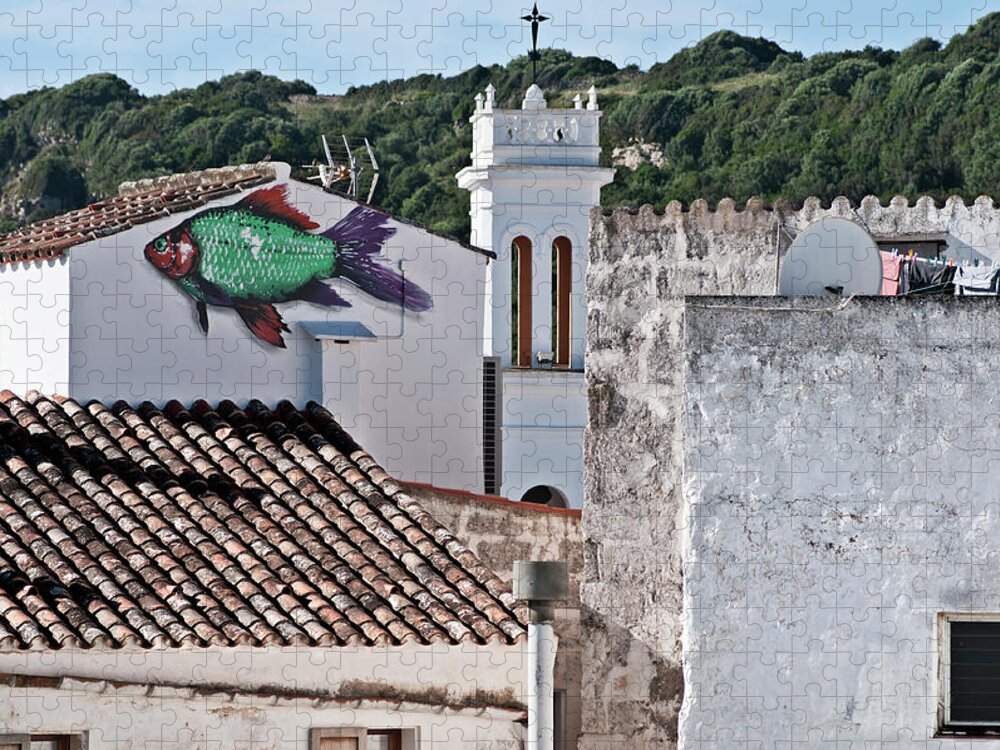Nobody Jigsaw Puzzle featuring the photograph Fish swimming in vintage town roofs by Pedro Cardona Llambias