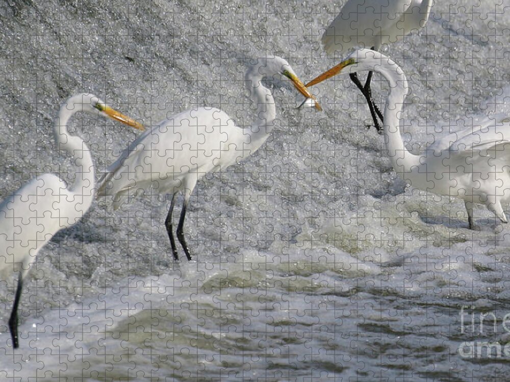 Great White Egret Jigsaw Puzzle featuring the photograph Fishing at the Falls 2985 by Jack Schultz
