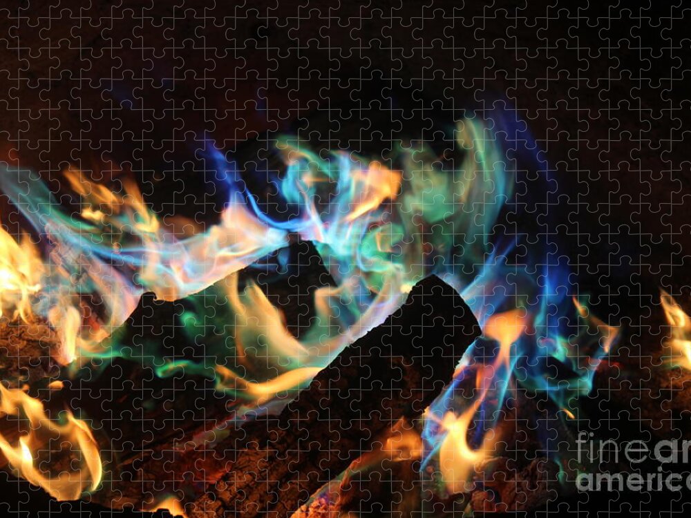 2000 Views Jigsaw Puzzle featuring the photograph Flames by Jenny Revitz Soper