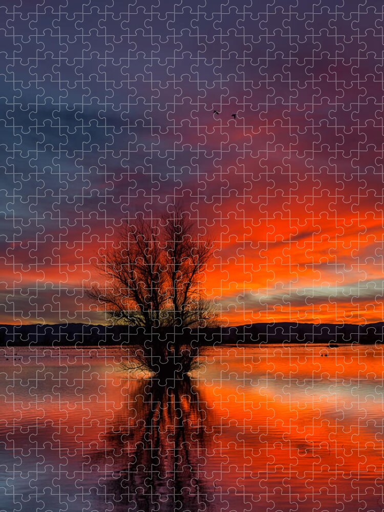 Red Jigsaw Puzzle featuring the photograph Flames on the Water by Kathleen Bishop