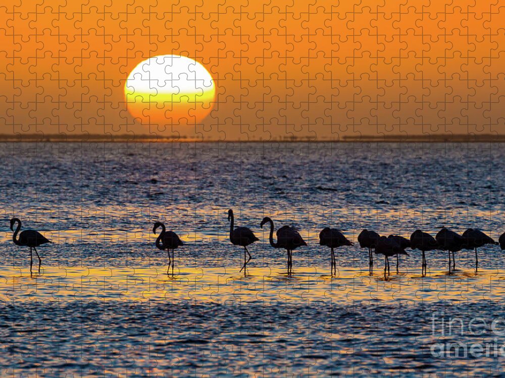 Africa Jigsaw Puzzle featuring the photograph Flamingo Sunset by Inge Johnsson