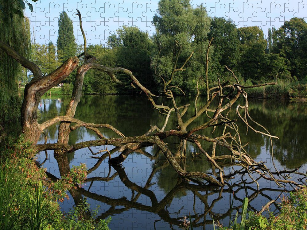 Green Jigsaw Puzzle featuring the photograph Flevopark, Amsterdam, The Netherlands by Aidan Moran