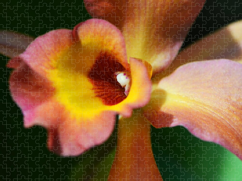 Orchid Jigsaw Puzzle featuring the photograph Floral Art - Intimate Orchid 3 - Sharon Cummings by Sharon Cummings