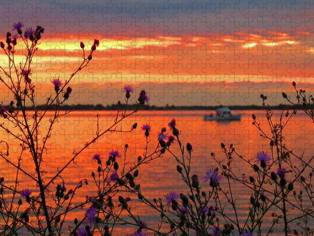 Tibbetts Point Jigsaw Puzzle featuring the photograph Flowers along the shore at Tibbetts Point by Dennis McCarthy